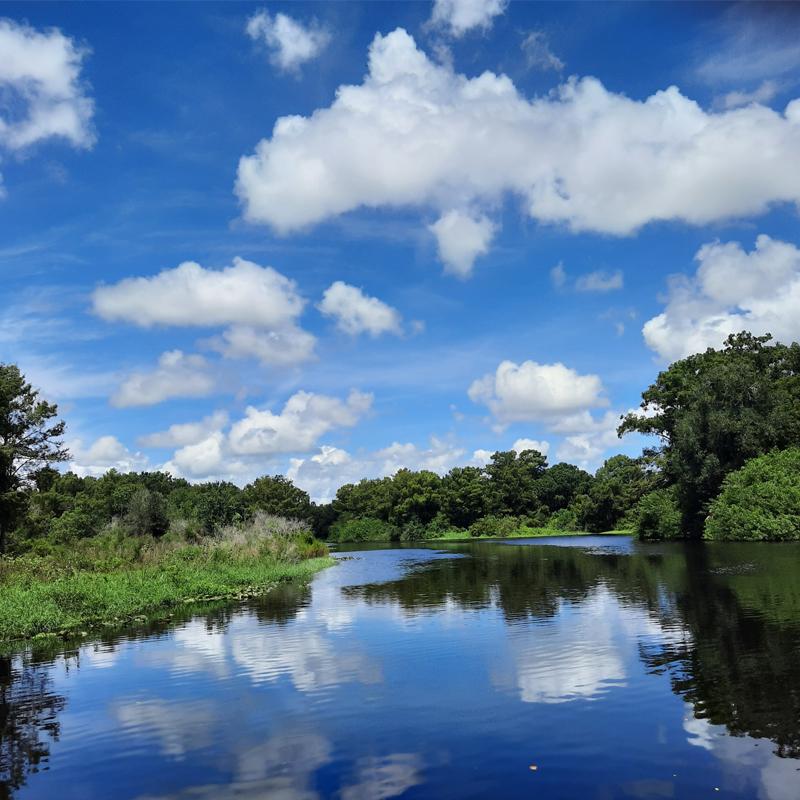 Riverwoods Field Lab